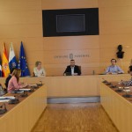 tenerife Reunión concejales Política territorial 2015