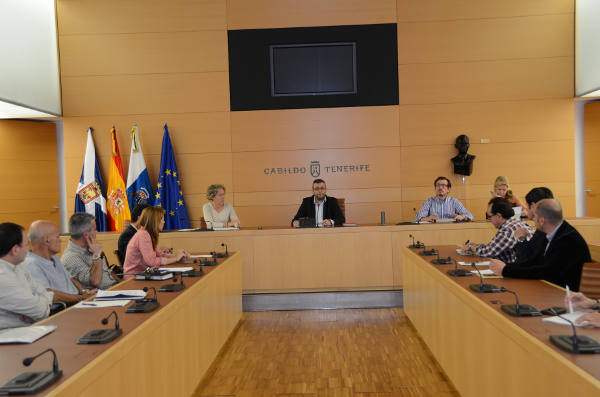 tenerife Reunión concejales Política territorial 2015