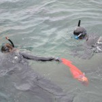 adeje-recogida de residuos la caleta 2015