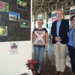 titsa exposicion 2015