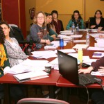 COCEMFE cursos Violencia genero 2016
