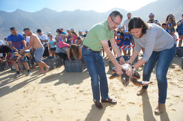 fuerteventura Suelta tortugas 2016