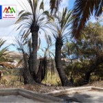 gcanaria fotografía medios fuegos en Campus 2016