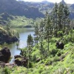 presas de gran canaria