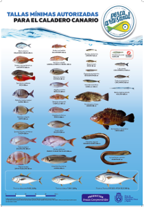 tenerife Tallas mínimas peces 2016