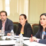 patricia Comisio¦ün de Dificil Insercio¦ün 2016