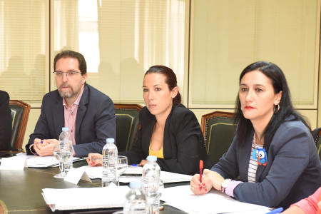 patricia Comisio¦ün de Dificil Insercio¦ün 2016