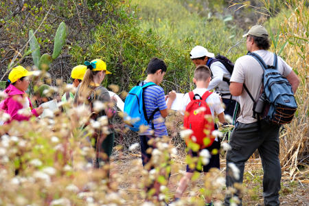 arona aula_naturaleza 2016