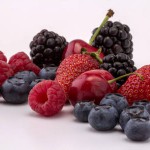 gcanaria frutos del bosque 2016