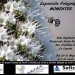 la laguna Exposición Momentos 2016