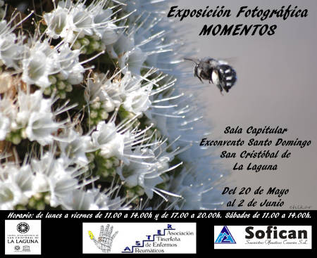 la laguna Exposición Momentos 2016