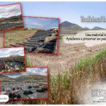 lanzarote Campaña Cartel Bardos 2016