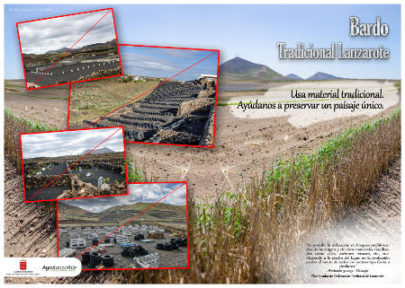 lanzarote Campaña Cartel Bardos 2016