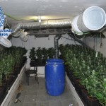 policia marihuana 2016