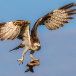 tenerife museos naturaleza Yeray Seminario 2016