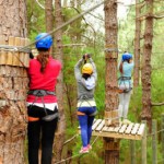 laorotava actividades juveniles 2016