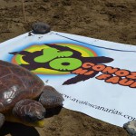 aguimes DIA INTERNACIONAL LIBRE DE BOLSA DE PLASTICO 2016