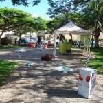 arona actividades m.ambiente 2016