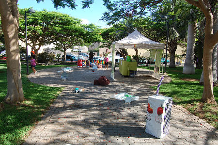 arona actividades m.ambiente 2016