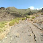 buenavistanorte campo trabajo 2016