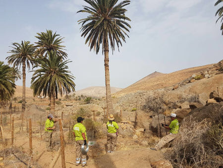 fuerteventura senderos Betancuria 2016