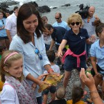 la alguna suelta Tortugas 2016