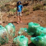 tenerife Voluntariado Ambiental 2016