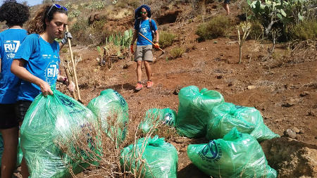 tenerife Voluntariado Ambiental 2016