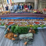 gcanaria PRESENTACION PRODUCTOS CARRETA 2016