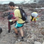 la laguna recogida basura 2016