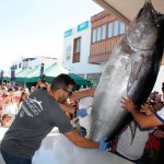 lanzarote feria gastronomica solidaria atun 2016