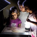 museos acampadas 2016