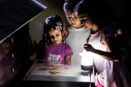 museos acampadas 2016