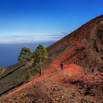 LaPalma Caminante Volcanes 2016