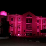 Lanzarote rosa contra el cancer 2016
