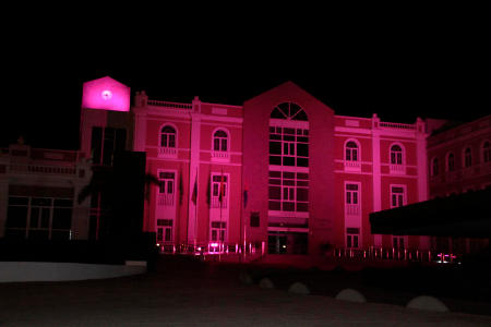 Lanzarote rosa contra el cancer 2016