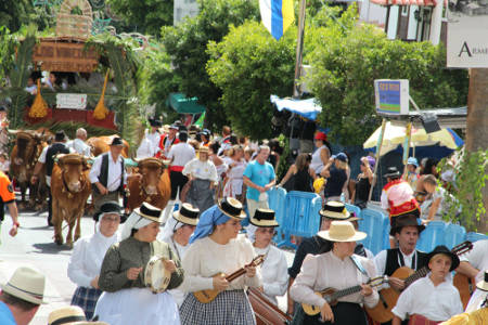 adeje tradiciones 2016