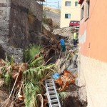 candelaria limpieza 2016