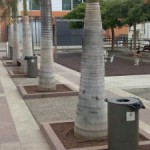 la laguna Nuevas papeleras adaptadas 2016