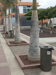 la laguna Nuevas papeleras adaptadas 2016