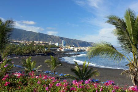 puerto cruz Playa Jardín 2016