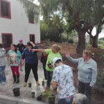 tenerife San Miguel-Voluntariado ambiental-Repoblación Amisur 2016