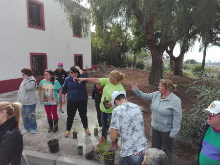 tenerife San Miguel-Voluntariado ambiental-Repoblación Amisur 2016