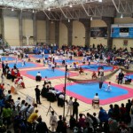 canarias campeonato españa taekwondo 2016