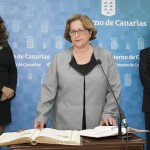 MªReyes Henríquez Dtra. pol. sociales 2017