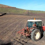 Yaiza finca situada en el municipio 2017