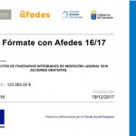 afedes formacion 2017