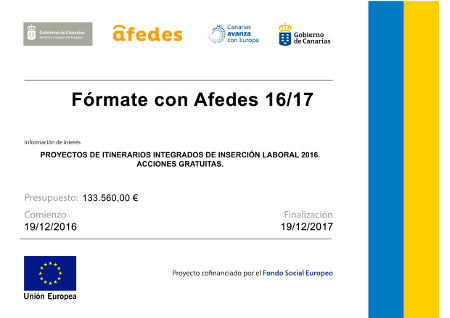 afedes formacion 2017