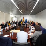 cristina valido Reunión FECAM 2017