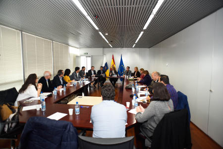 cristina valido Reunión FECAM 2017